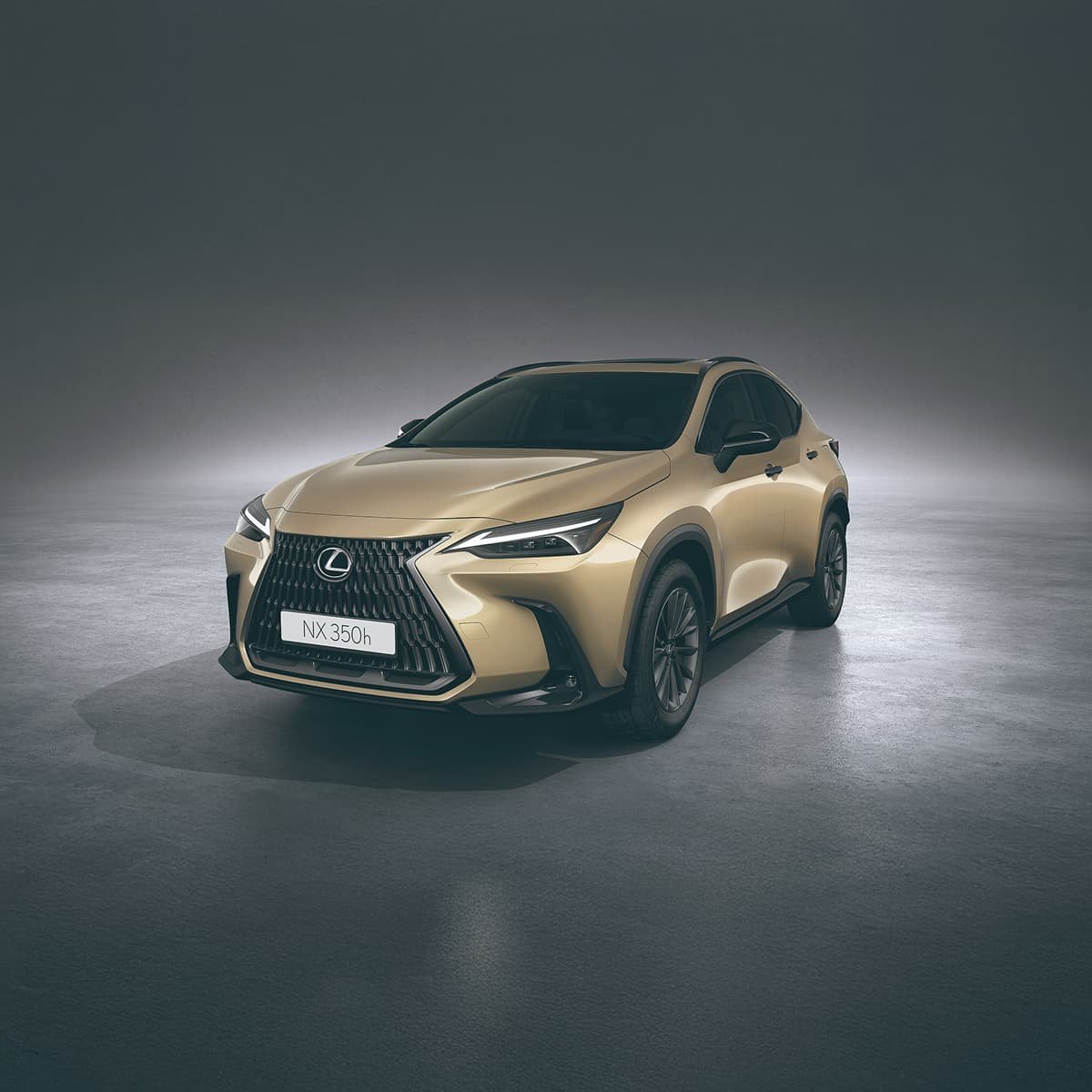 Lexus NX 350h Overtrail front view